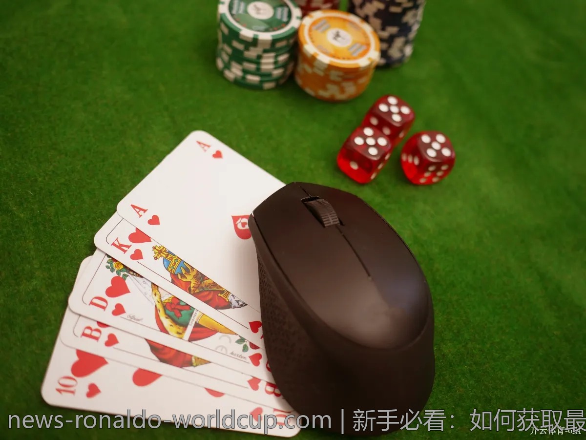 新手必看：如何获取最新世界杯赛果的攻略