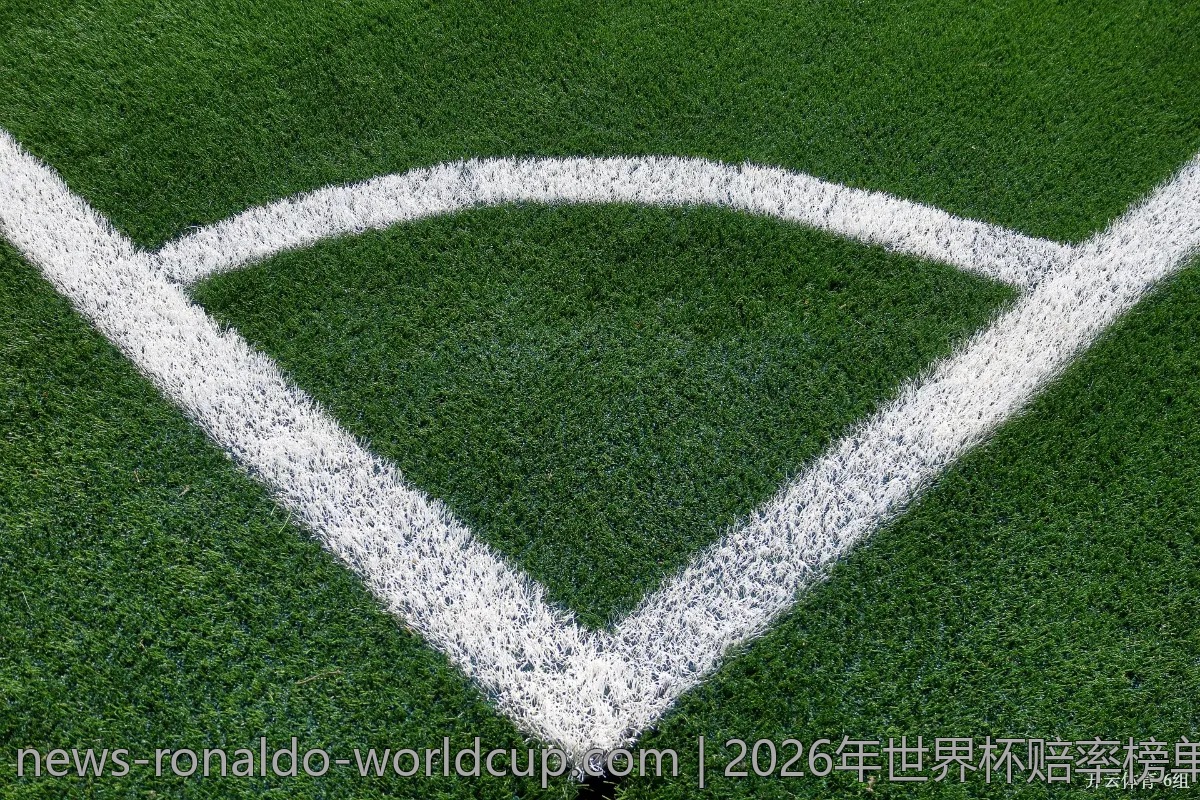 2026年世界杯赔率榜单：哪支队伍最受欢迎？
